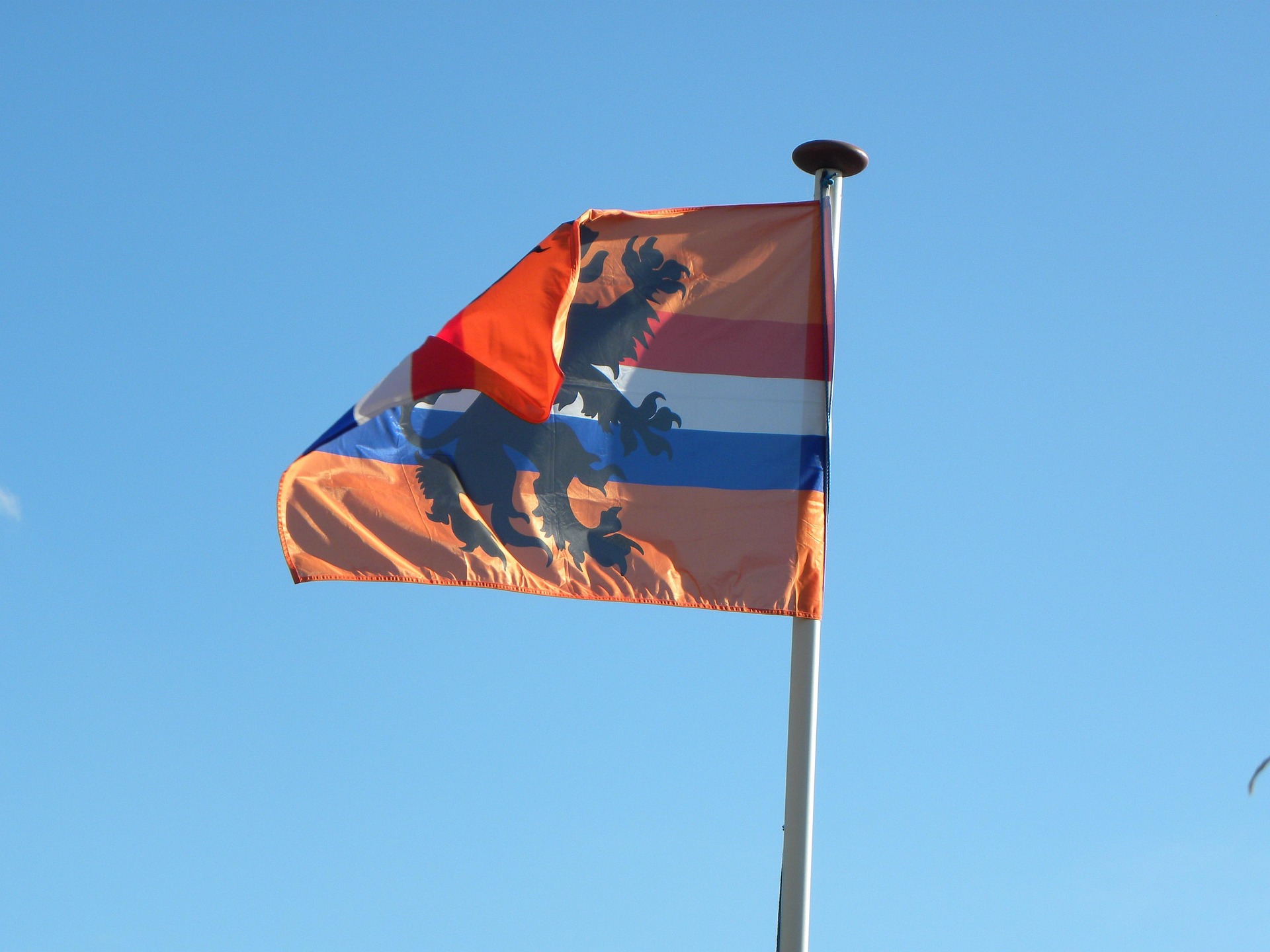 Warum sind die Niederlande orange? Die Geschichte hinter der Nationalfarbe